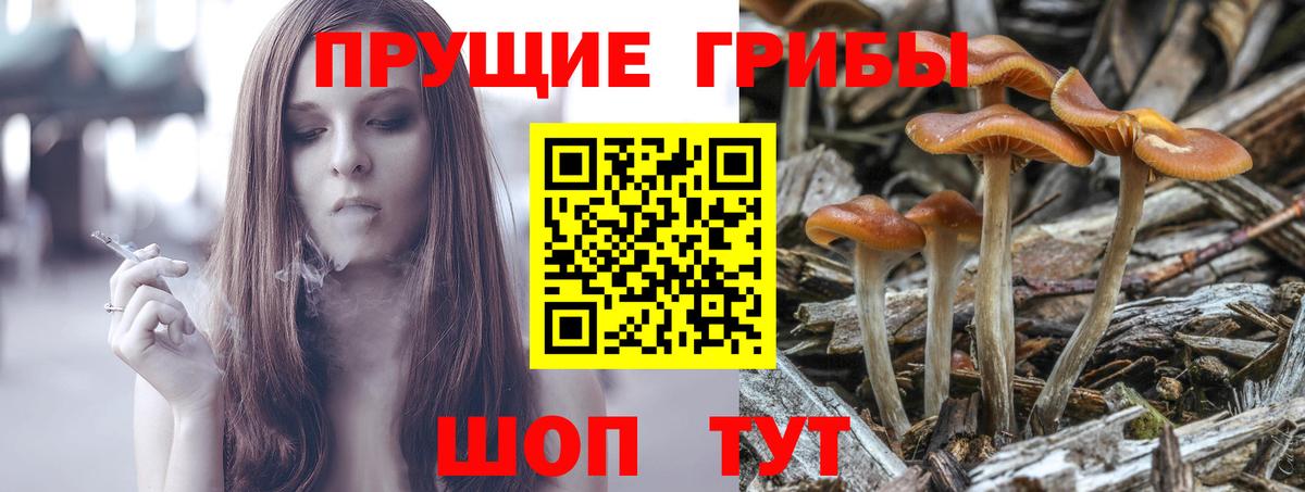 Галлюциногенные грибы GOLDEN TEACHER Топки